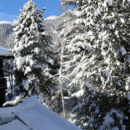 Appartement Haus Pyrola *