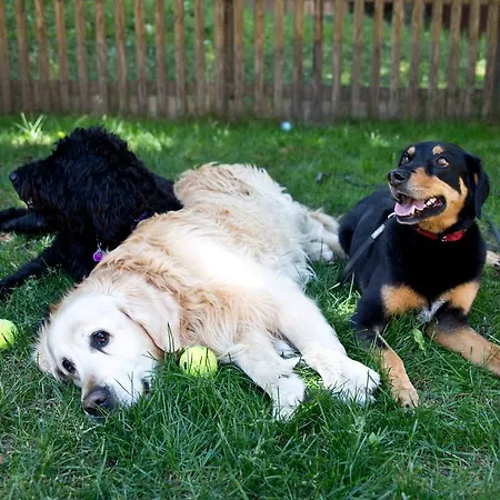 Apartman Haus Pyrola *