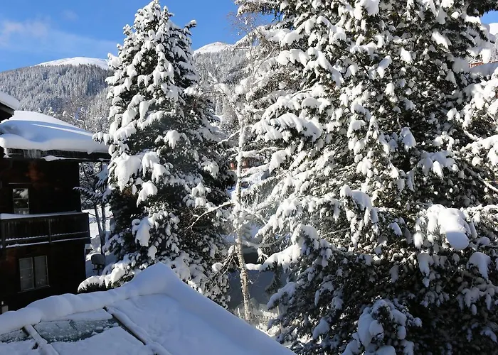 Apartamento Haus Pyrola *