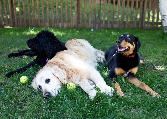 Apartamento Haus Pyrola *